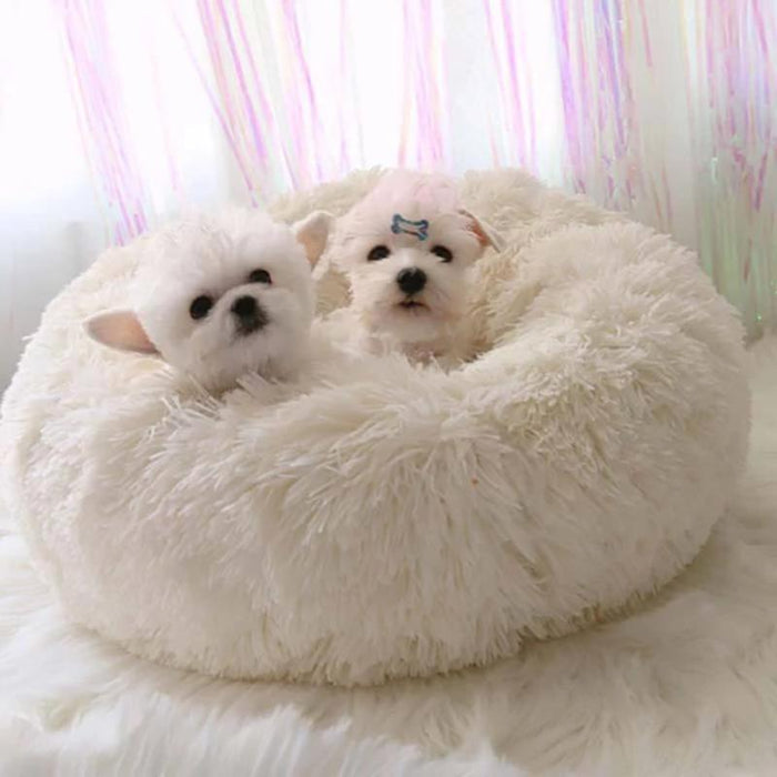 Comfy Calming High Stretch Soft Pet Dog Bed Cat House